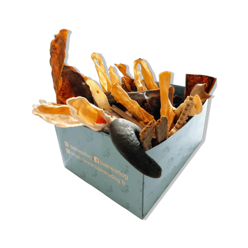 Box de Friandises Naturelles | Hypoallergéniques