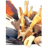 Box de Friandises Naturelles | Hypoallergéniques