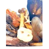 Box de Friandises Naturelles | Moyens et Grands